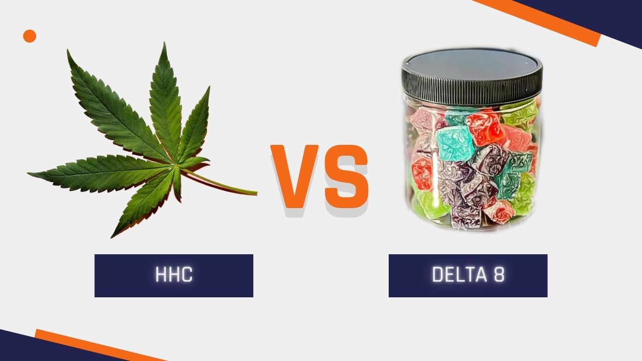 HHC Vs Delta 8: Which Is Better? - THC Club Houston